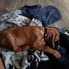 Travis Schreiber - @travis.schreiber - TikTok