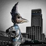 Travis Schulz - @tschulz312 - Instagram