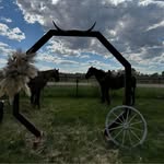 Travis Searle - @travis_searle - Instagram