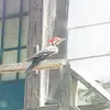 travisearley779 - @travisearley779 - TikTok