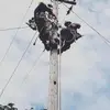 travissearle - @travissearle - TikTok
