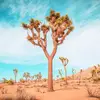 Travis Seekrits - @travisseekrits - TikTok