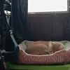travisseitz4 - @travisseitz4 - TikTok