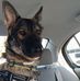 Travis Senart - Facebook