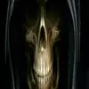 Travis shade - @travisshade437 - TikTok