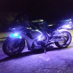 Casper Sheffield - @travissheffield - Instagram