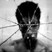 Travis Shippy - Facebook
