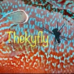 Travis Short - @thekyfly - Instagram
