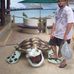 Travis Shrum - Facebook