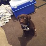 Travis Simon - @travis.simon.927 - Instagram