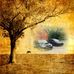 Travis Slagle - Facebook