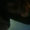 Travis Slocum - @travy.boi - TikTok