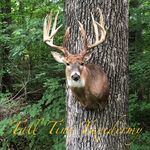 Travis Snider - @tall_tine_taxidermy - Instagram