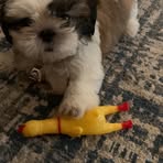Travis Speck - Facebook