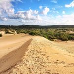 Travis J. Spruill - @travisj.spruill - Instagram