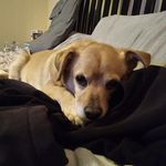 Travis Stephens - @travisstephens1234 - Instagram