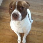 Travis Stern - @travis.stern.1272 - Instagram