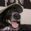 Travis - @travisstern1 - TikTok