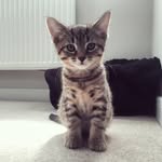 Travis - @travis_stott - Instagram