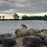 Travis Strong - @trabenzo - Instagram
