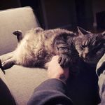 Latravis Stroud - @latravisstroud - Instagram