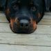 Travis Satterfield - Facebook