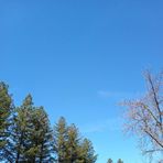Travis Tilley - Facebook