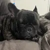 travistilley82 - @travistilley82 - TikTok