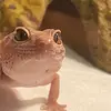travistorres - @travistorres - TikTok