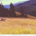 Travis Toth - @travistoth - Instagram