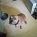 Travis Touchton - Facebook