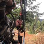 travis towery - @towery10 - Instagram