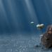 Travis Troxell - Facebook