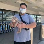 Home of teacup dogs 🐕 - @troxler_travis - Instagram
