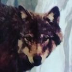 Travis Tyner - @alabamacountry_12 - Instagram