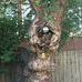 Travis Unger - Facebook