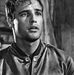 Travis Van Den Berg - Facebook