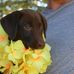 Travis Vogt - Facebook