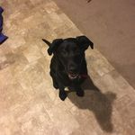 Travis Vogt - @_ghost_bark_ - Instagram