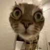 Travis Webb - @travis.webb091 - TikTok