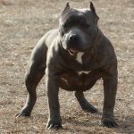 Travis Westbrook - @traviswestbrook06 - Instagram
