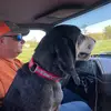 Travis Wethington - @travray - TikTok
