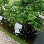 Travis Wharton - @wharton1619 - Instagram