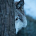 Travis Whitney - @traviswhitney557 - Instagram