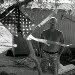 Travis Whittington - @desertdawgz - Instagram