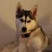 Travis Willhite - Facebook