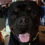 Travis Willis - Facebook