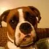 traviswinter97 - @traviswinter97 - TikTok