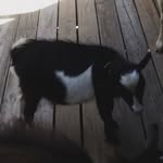 Travis Winters - @the.clown996 - Instagram