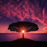 Travis wisdom - @traviswisdom8 - Instagram
